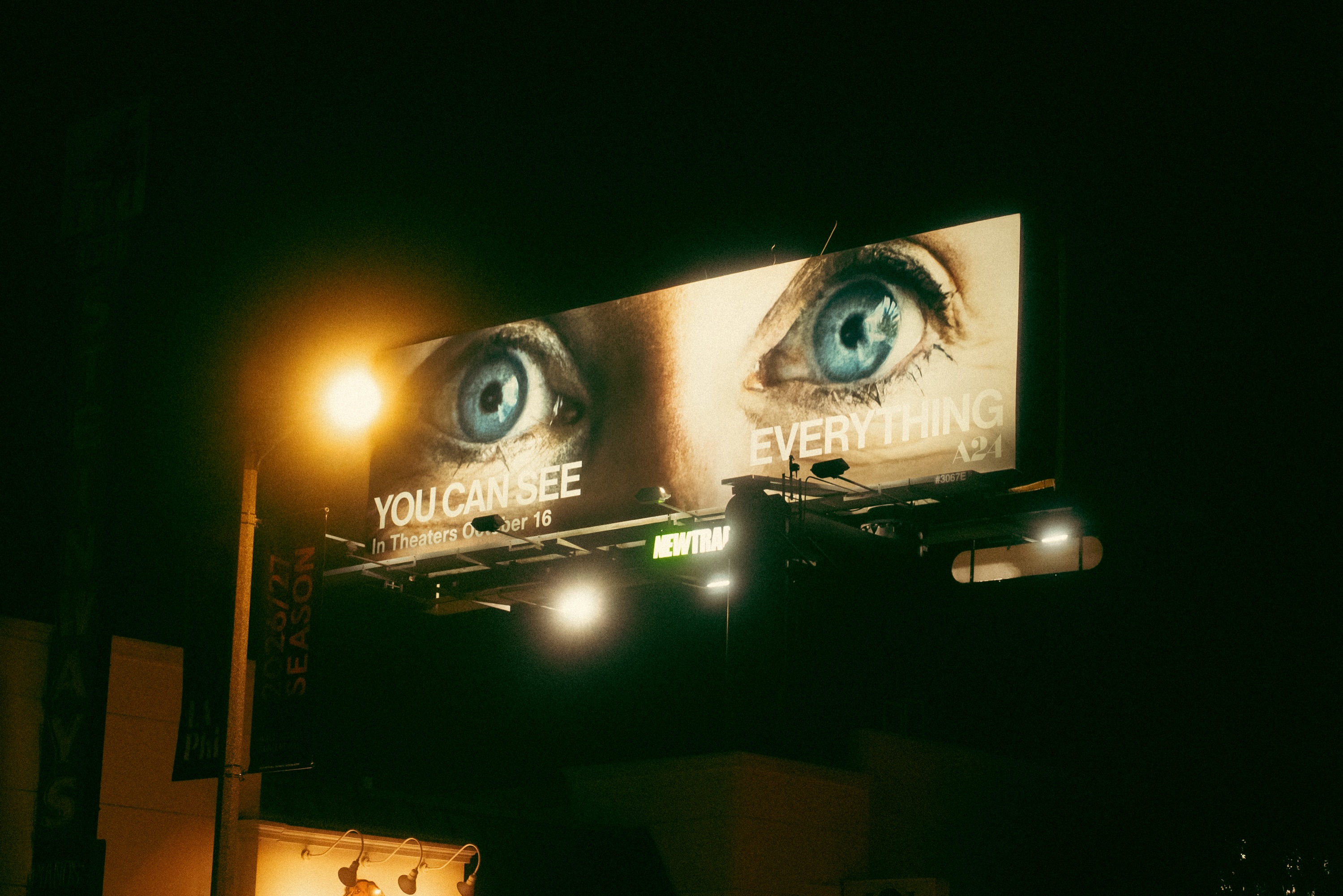 هل يقدم "You Can See Everything" صورة مختلفة عن إليزابيث هولمز؟