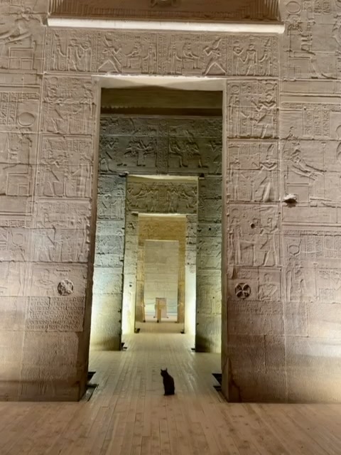 هند صبري في معبد فيلة