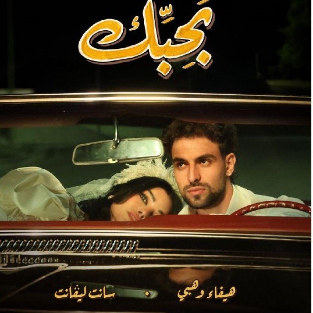 هيفاء وهبي والشامي