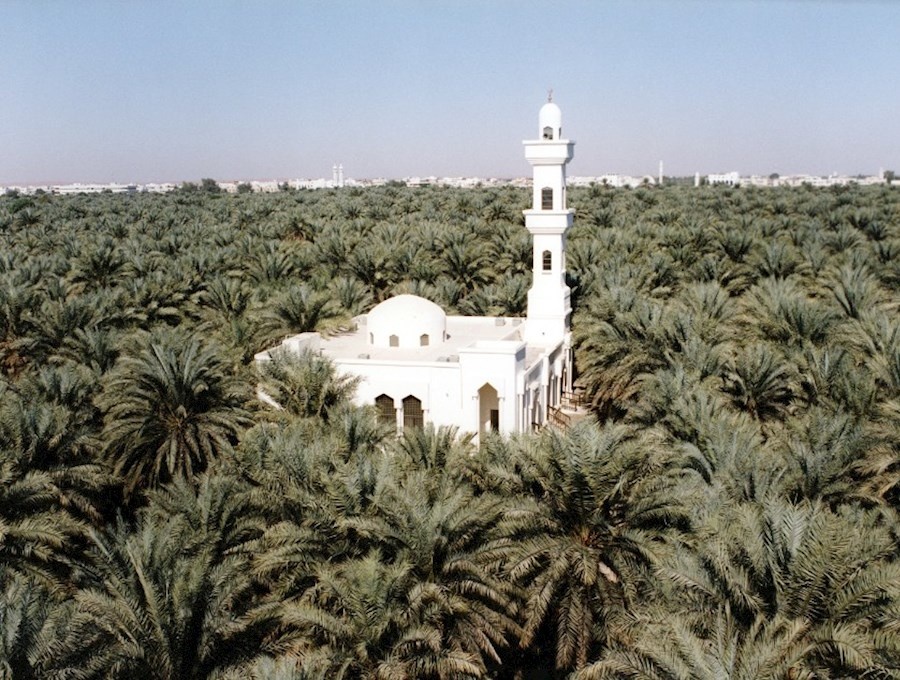 واحة ليوا الساحرة