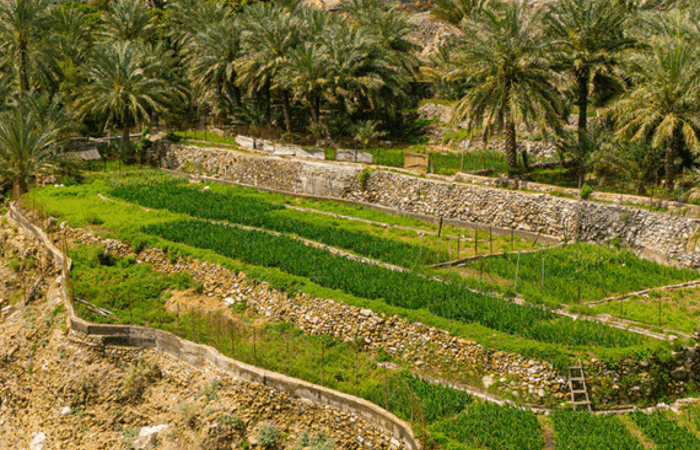وادي الحلو وتجربة ساحرة في الشتاء