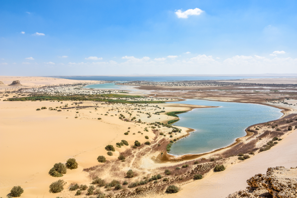 وادي الريان (الفيوم)