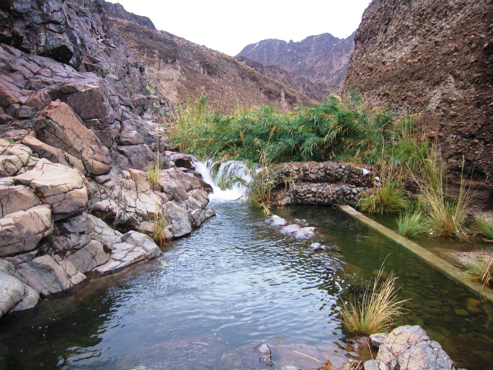 وادي الوريعة