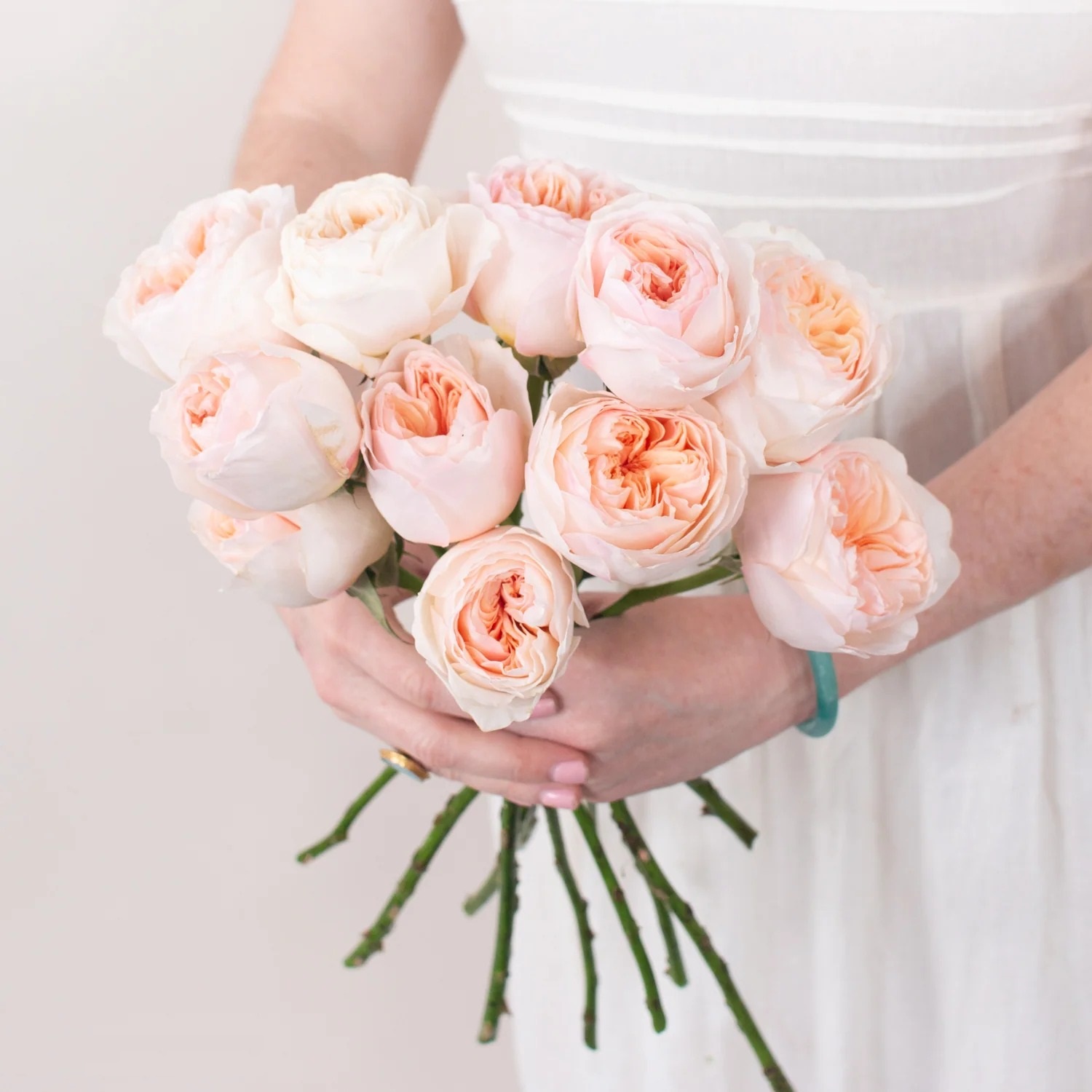 ورود الحدائق Garden Roses