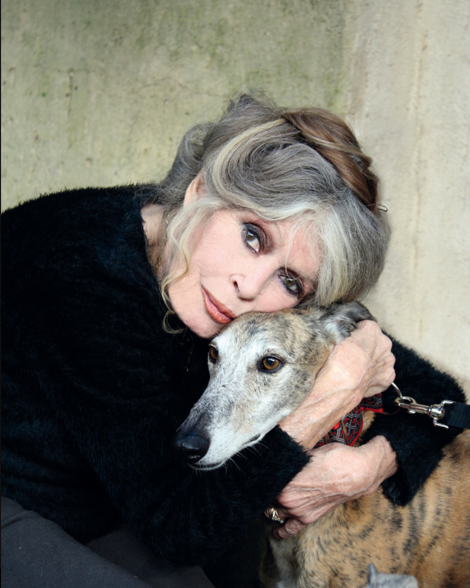 وفاة الممثلة الفرنسية بريجيت باردو