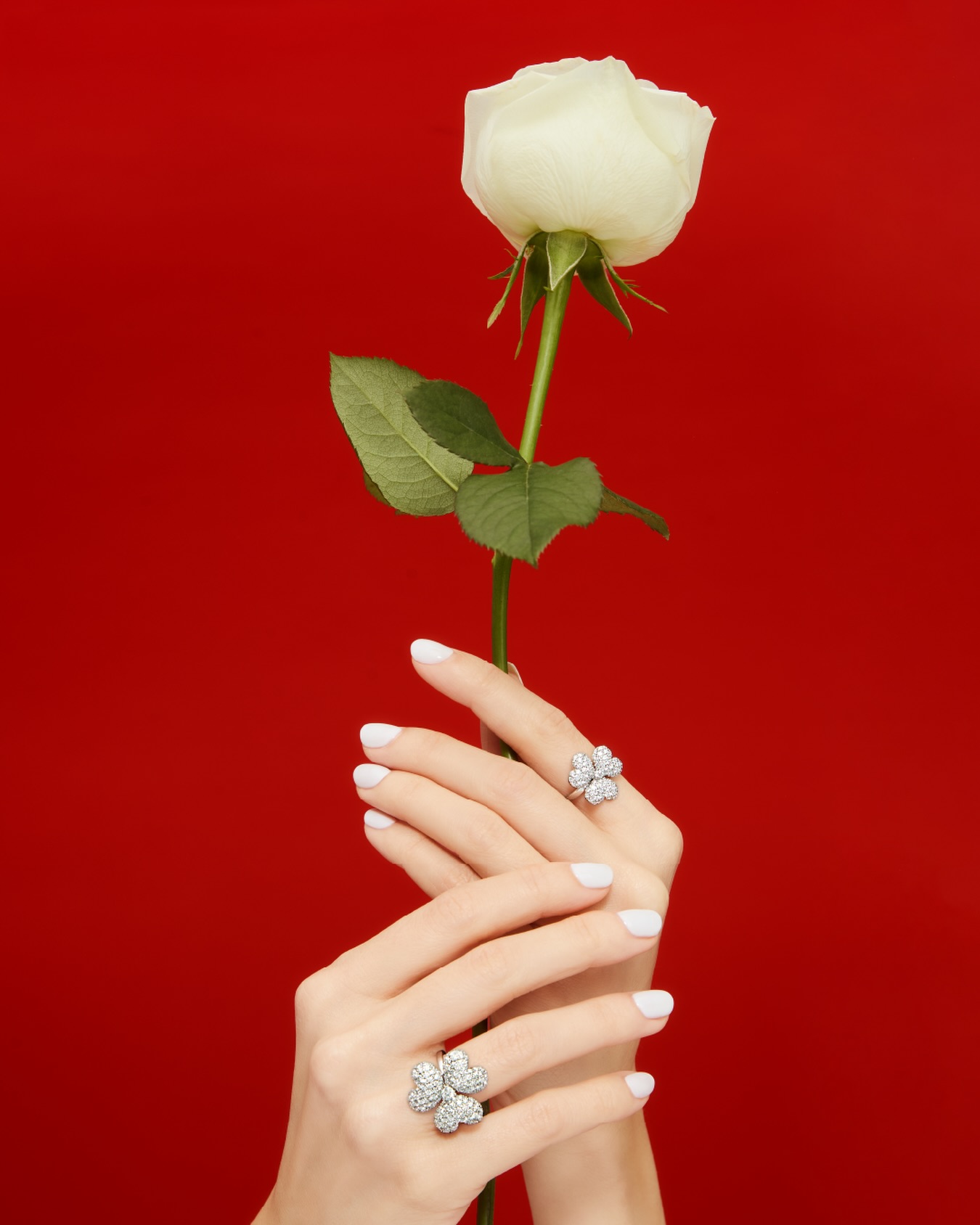 خاتم The Flower of Eternity من دار معوّض