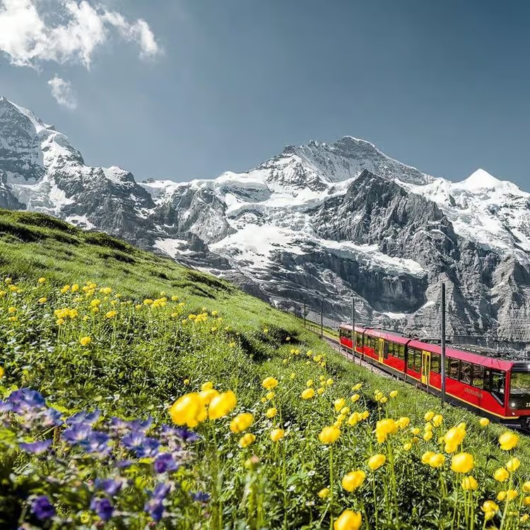يعد يونغفراو يوخ Jungfraujoch