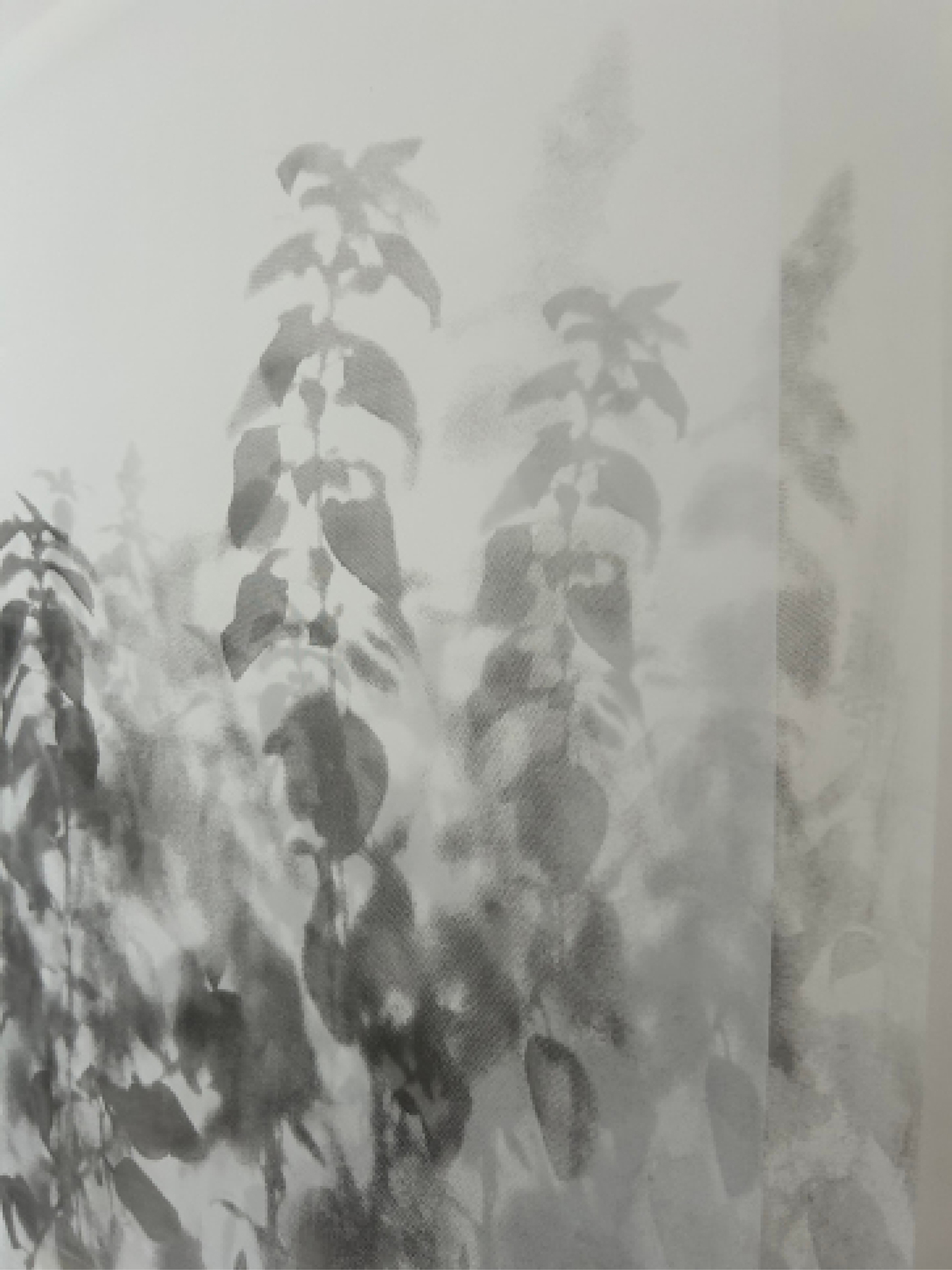 العمل الفني "ماتبقى أن تعيش بقيت بقدر ما تبقى منك" للفنانة السعودية فاطمة العبدالهادي