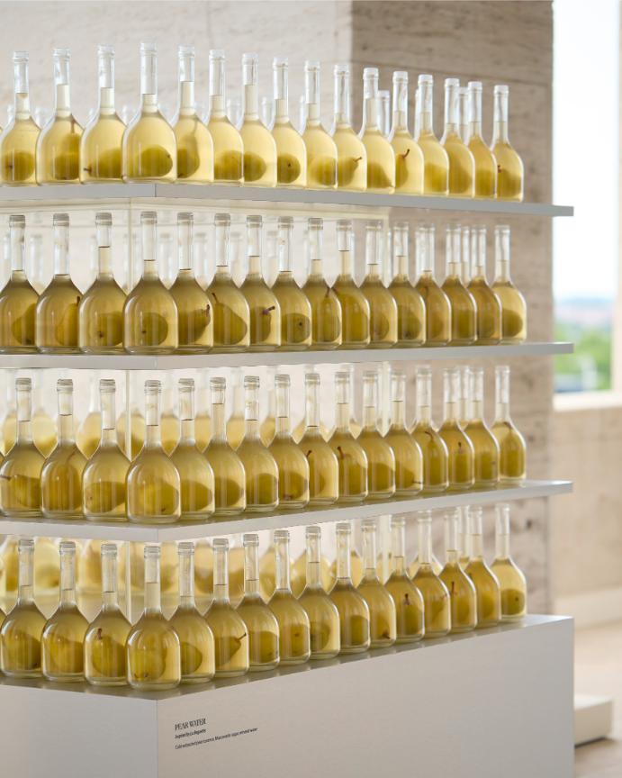 عائلة عطور  FENDI لأول مرة في تاريخها، تكشف FENDI عن مجموعة كاملة من العطور