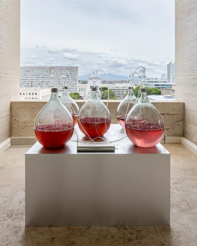 عائلة عطور  FENDI لأول مرة في تاريخها، تكشف FENDI عن مجموعة كاملة من العطور