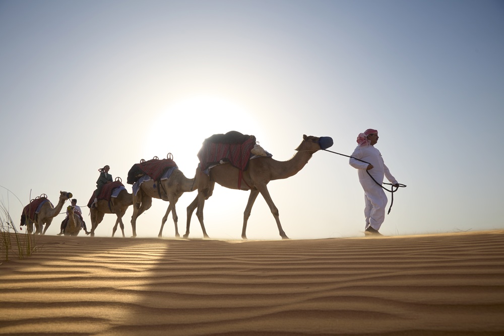 منتجع وسبا الصحراء الفاخر المها