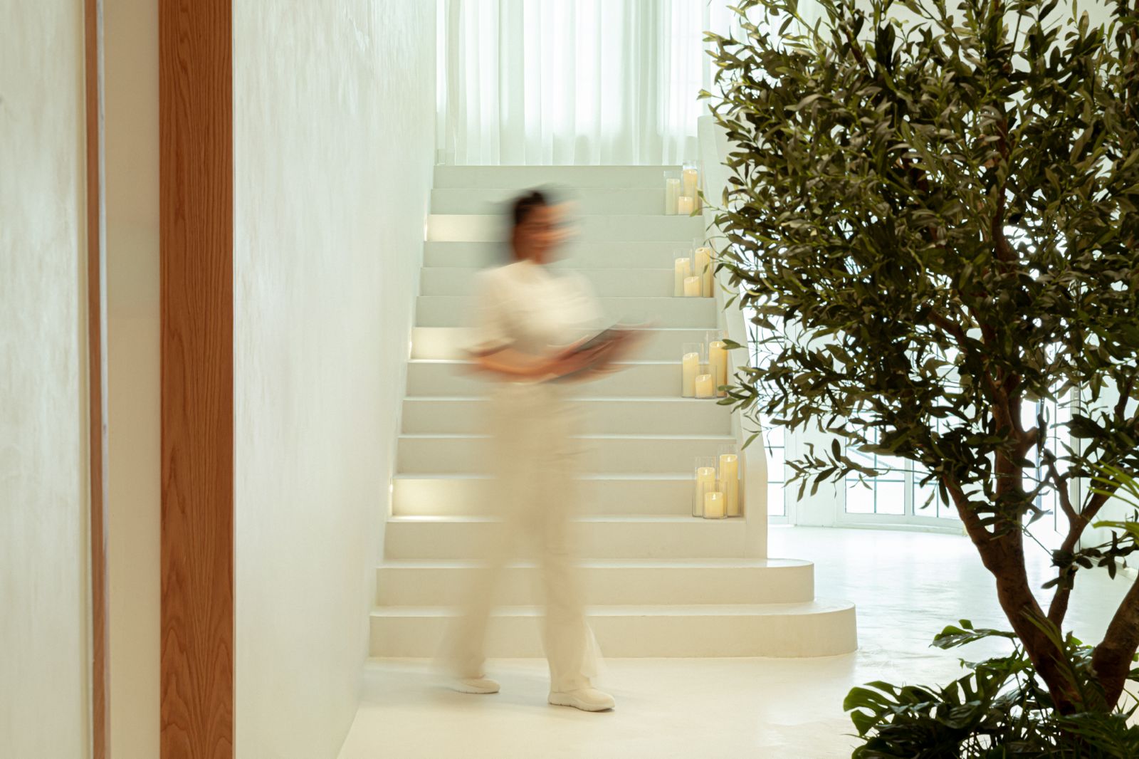 ڤيرا تنطلق في دبي.. تجربة جديدة من الفخامة والجمال والعافية