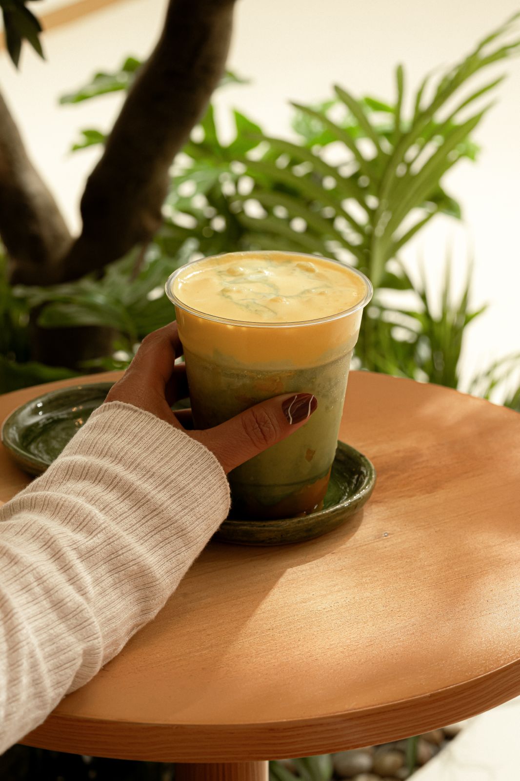 ڤيرا تنطلق في دبي.. تجربة جديدة من الفخامة والجمال والعافية