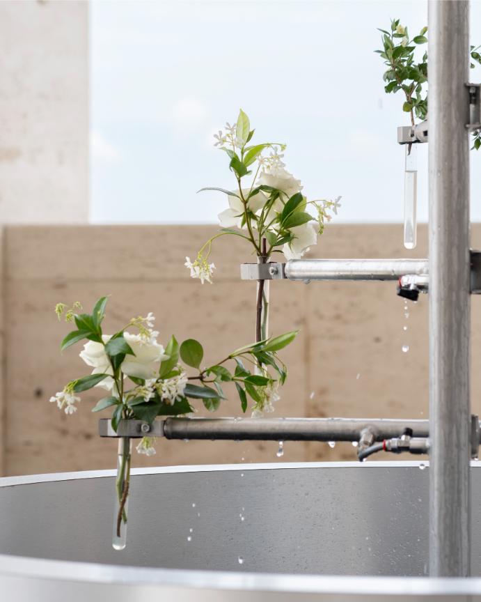 عائلة عطور  FENDI لأول مرة في تاريخها، تكشف FENDI عن مجموعة كاملة من العطور