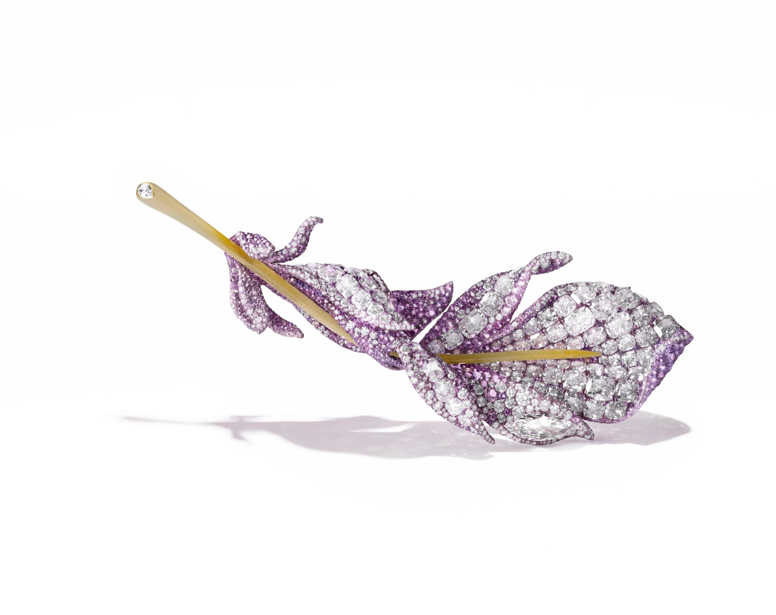 مجموعة الذكرى السنوية العشرين - بروش الريشة