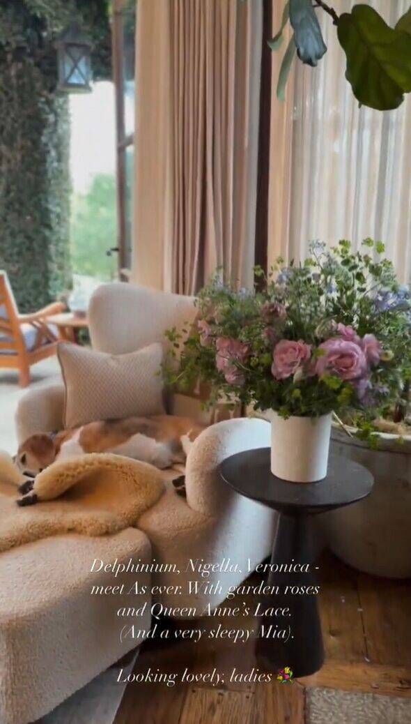 ميغان ماركل تستخدم صورة غرفة معيشتها للكشف عن منتج 'As Ever' السري