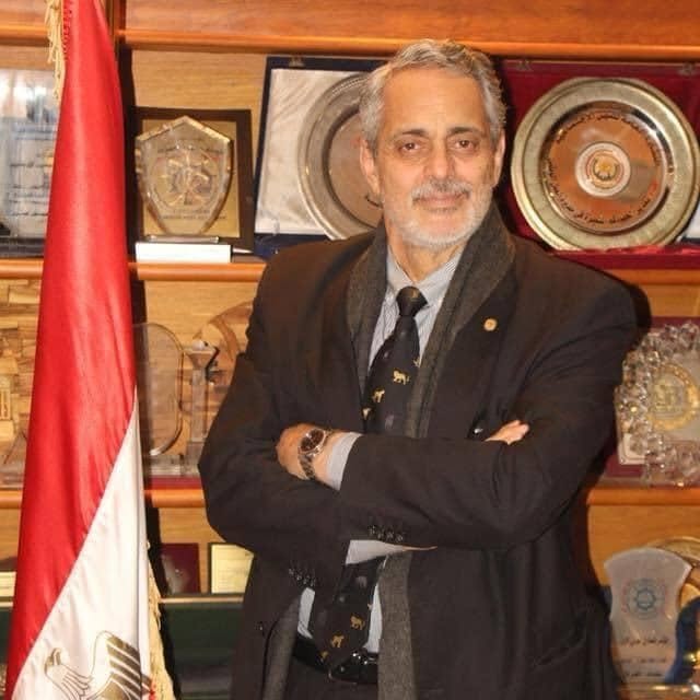 المهندس سيف أبو النجا