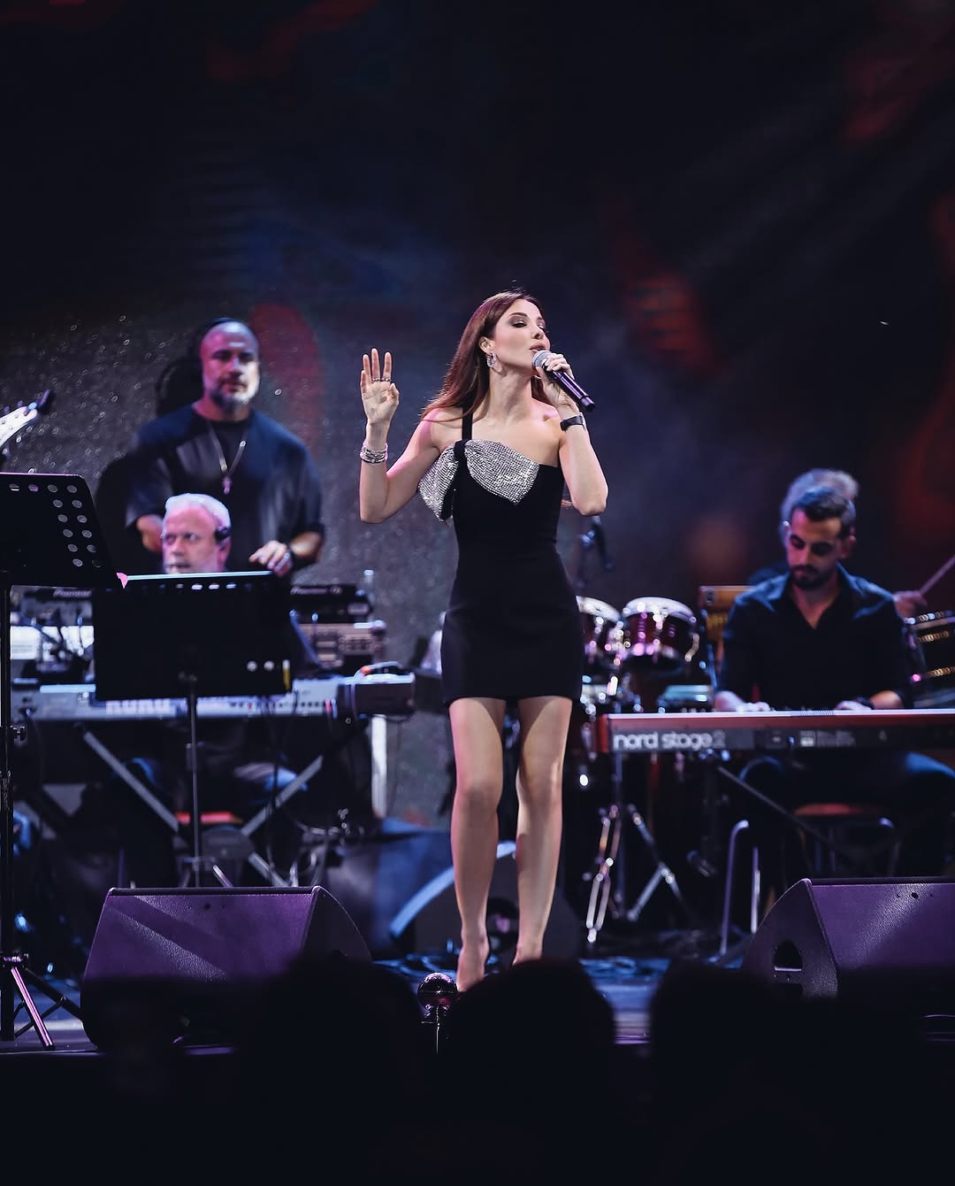 نانسي عجرم