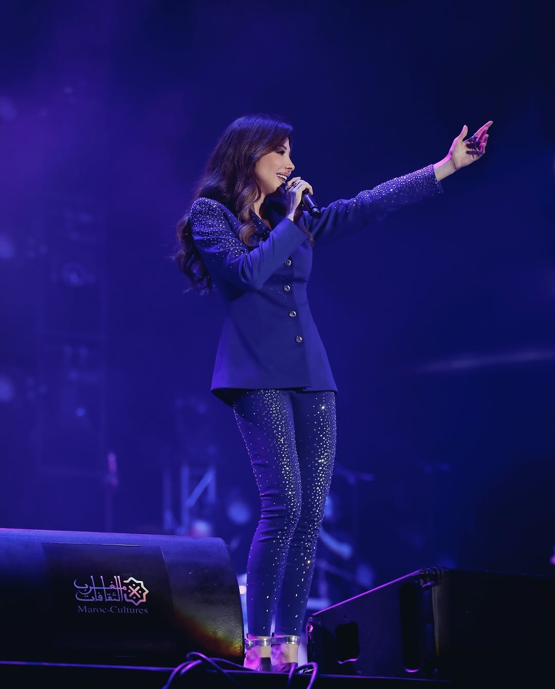 نانسي عجرم