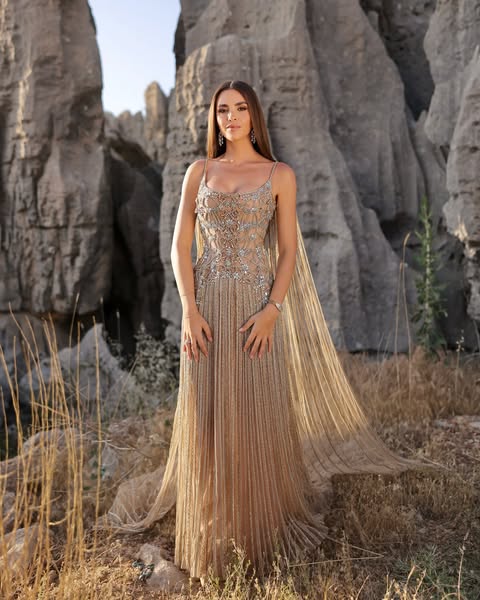 زين قطامي