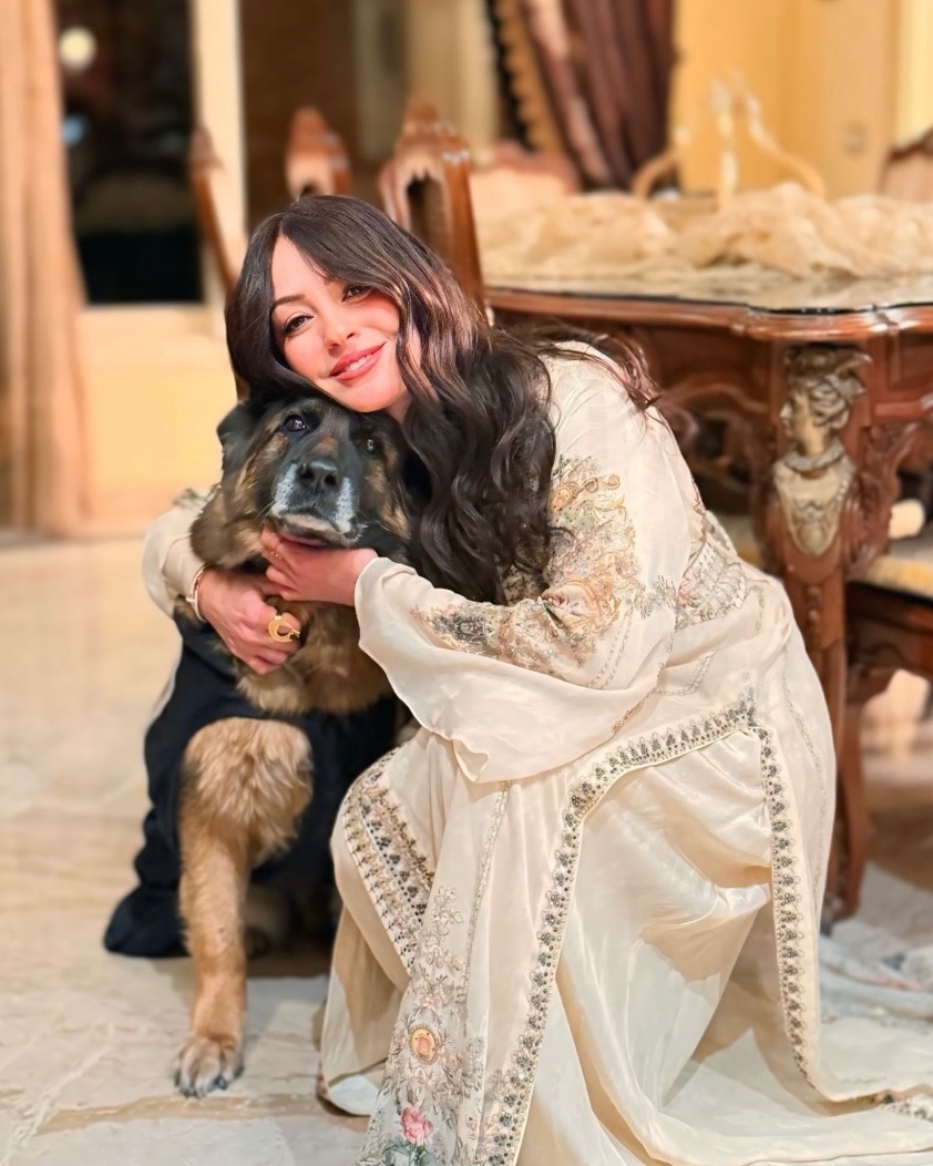 نرمين الفقي