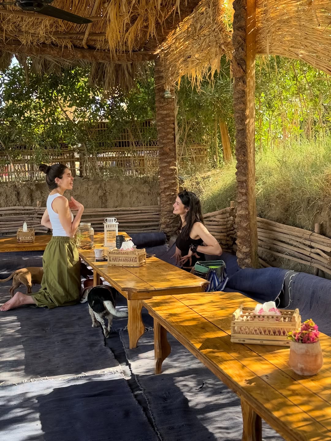 تارا عماد في أسوان