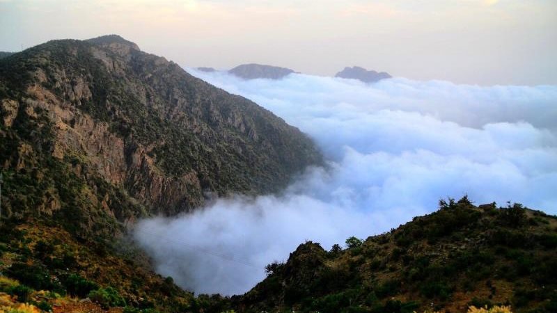 عاصمة الضباب رحلة فاخرة إلى السودة حيث تعانق الجبال السماء