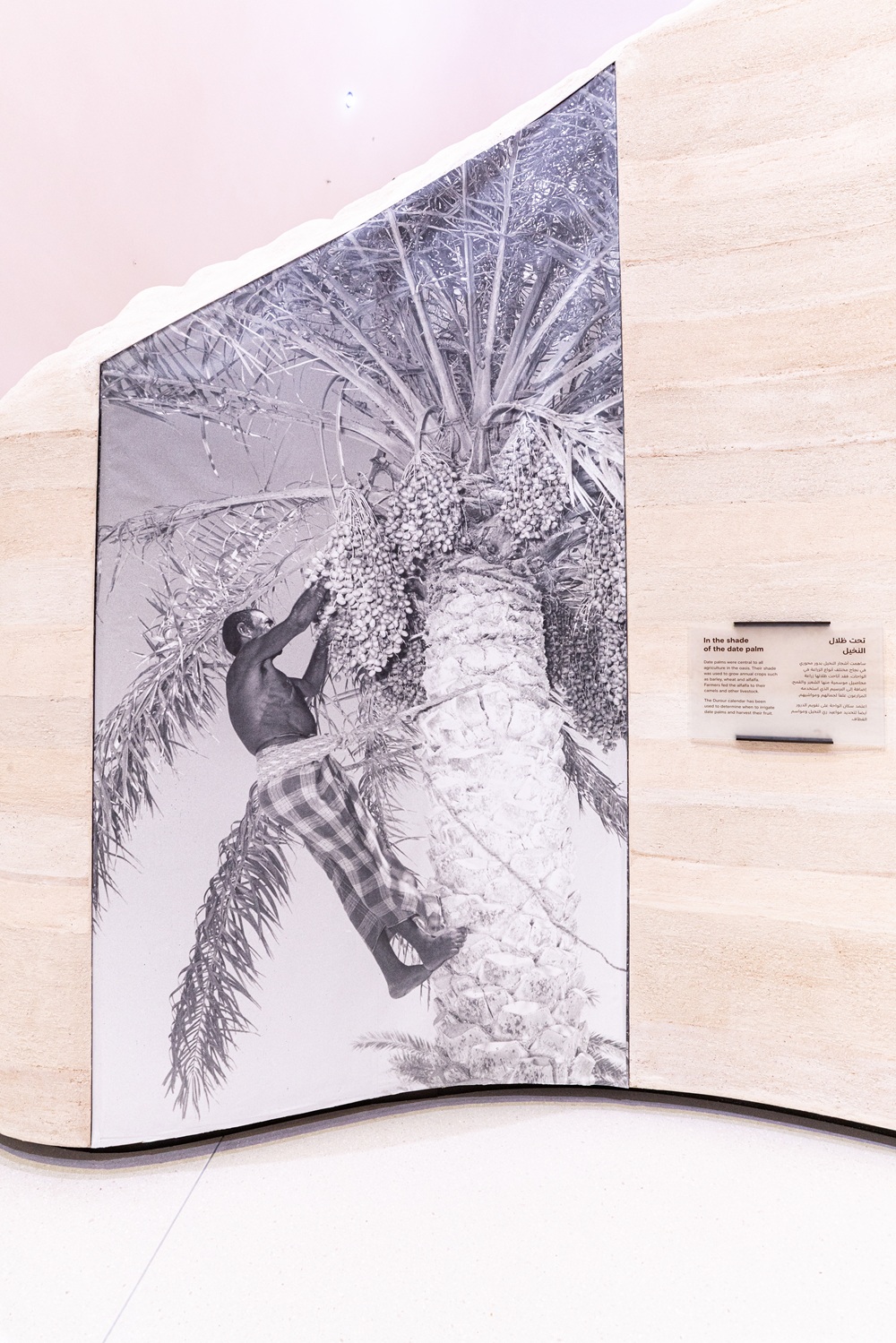 متحف زايد الوطني