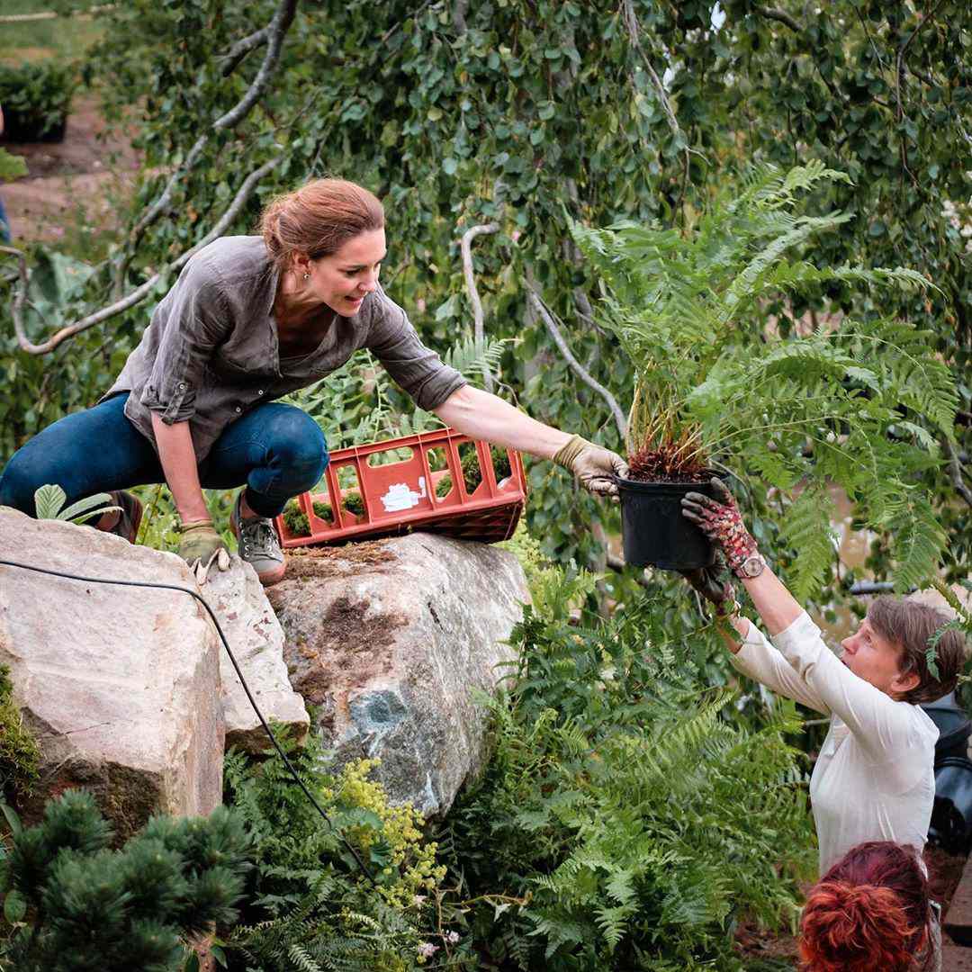 Princess Kate landscaping