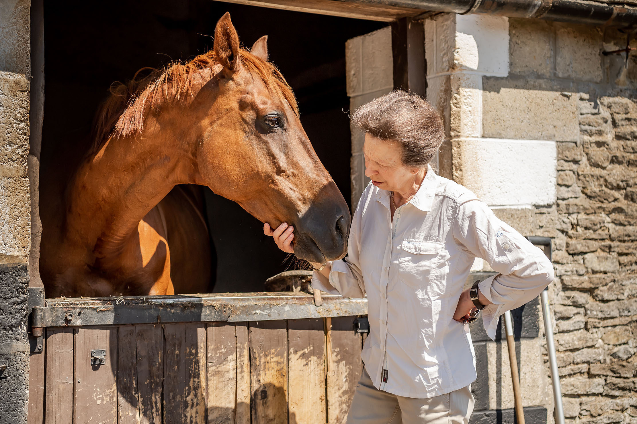 الأميرة آن جاتكومب بارك هدية العمر