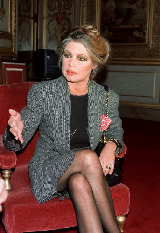 الأيقونة بريجيت باردو