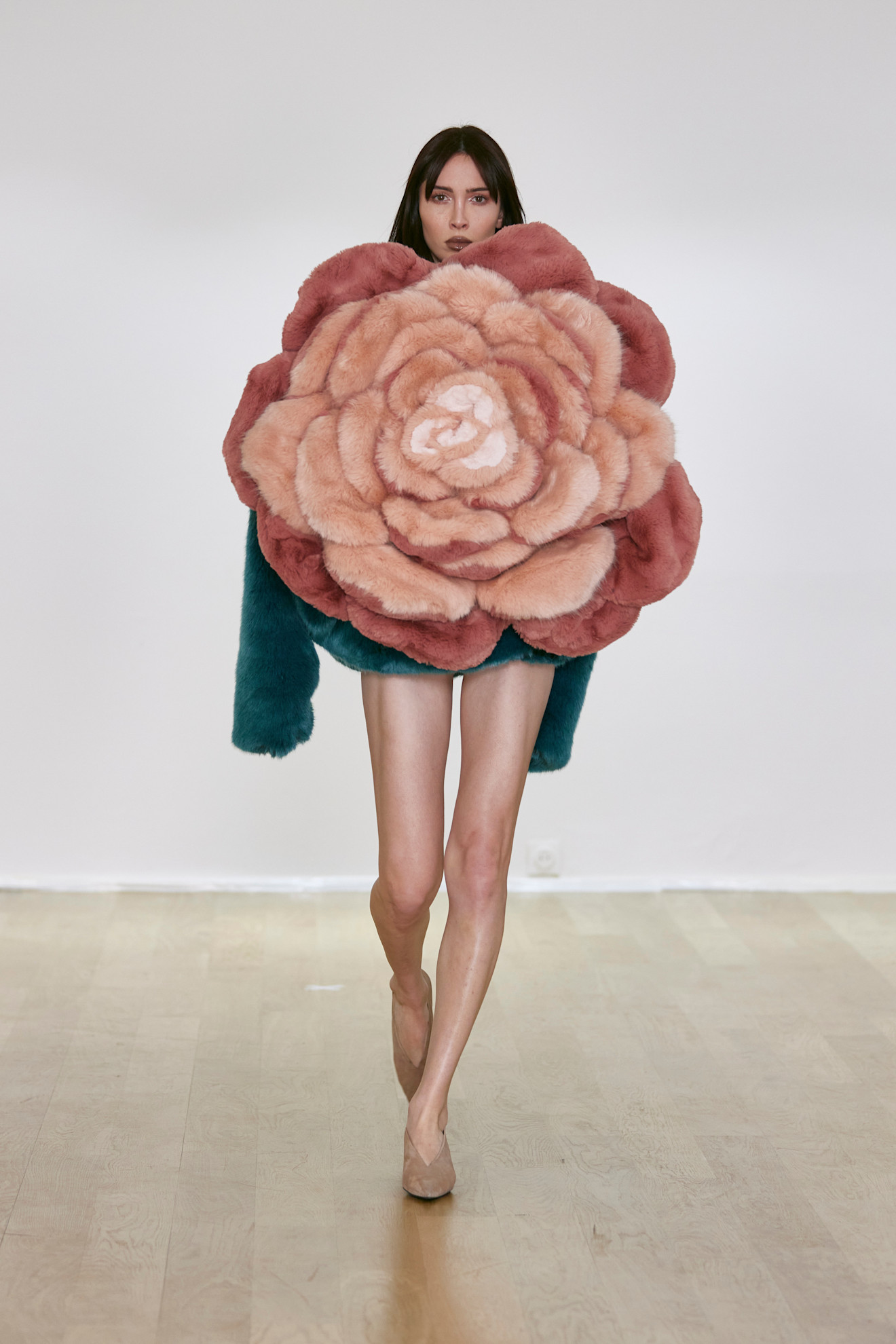 وردة مفتحة من أبرا بو