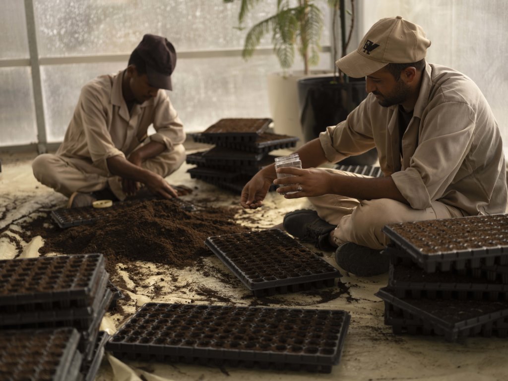 العُلا تزرع مليون نبتة محلية تعزّز من خلالها الاستدامة وتعيد إحياء الطبيعة