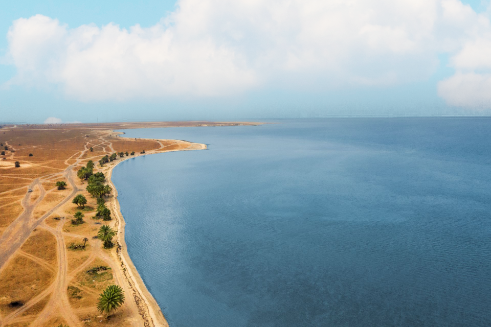 شاطئ العقير