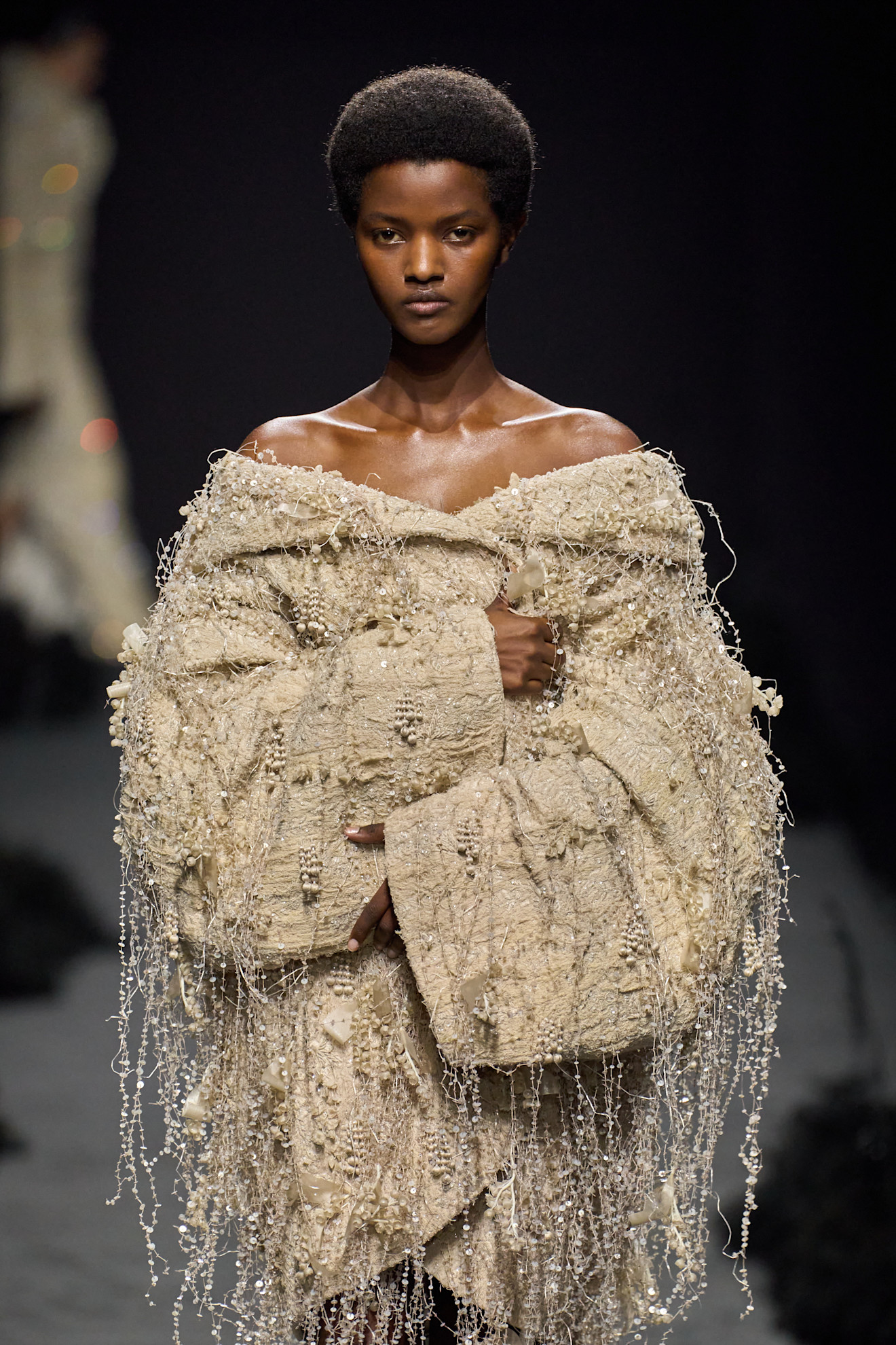 من مجموعة Ashi Studio  خريف و شتاء  2024 للأزياء الراقية