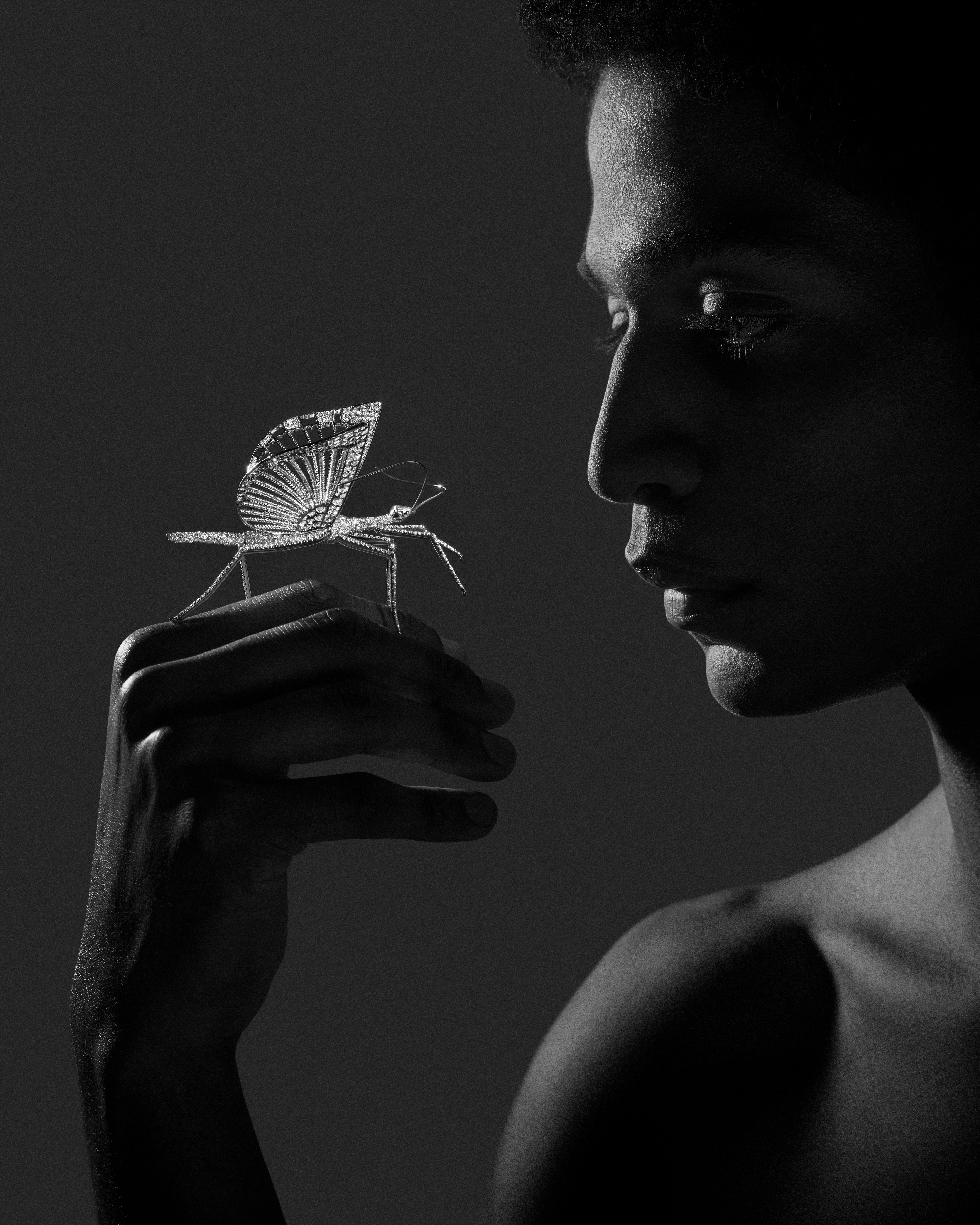 بروش BOUCHERON Impermanence Stick insect