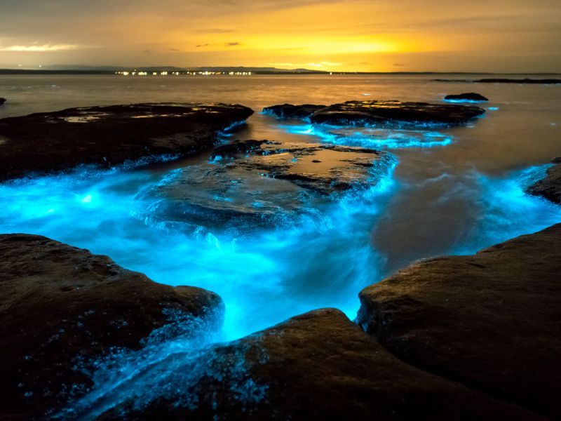 Bioluminescent Bays