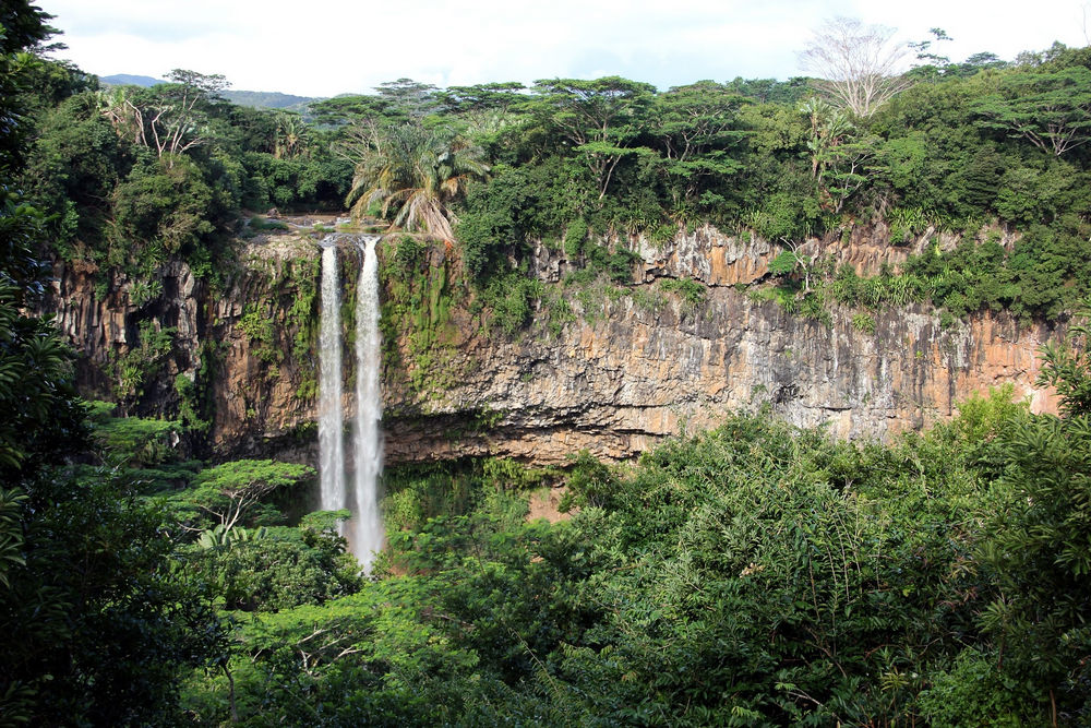 Black River Gorges National Park واحدة من أهم هذه المناطق