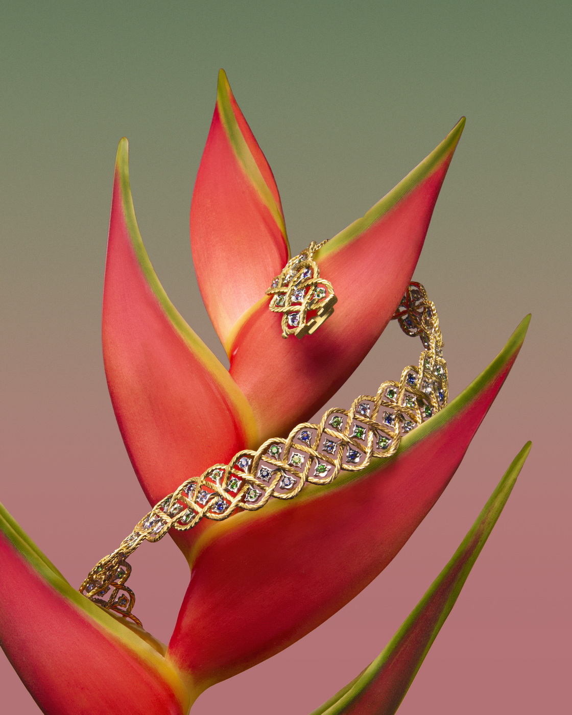 مجوهرات لافتة من مجموعة Étoilée Color من دار Buccellati