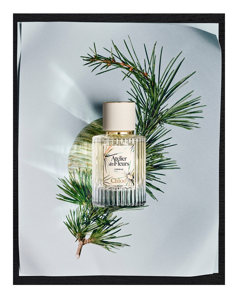 عطر CEDRUS بإصدار محدود تكريمًا لتراث دار Chloé