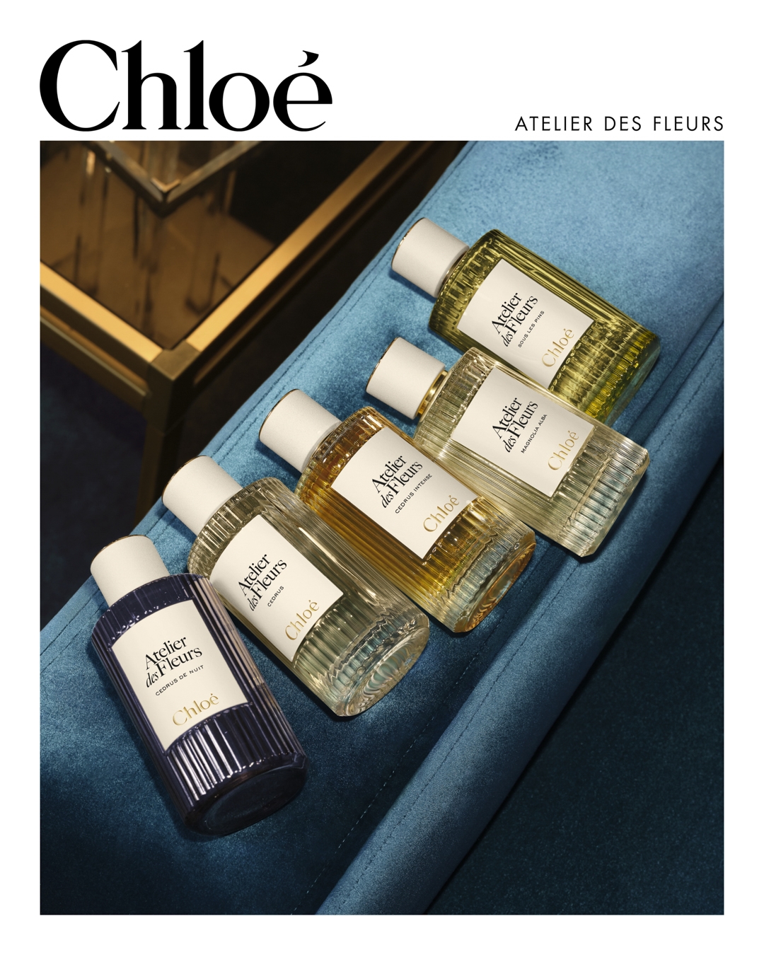 عطر CEDRUS DE NUIT من Chloé  