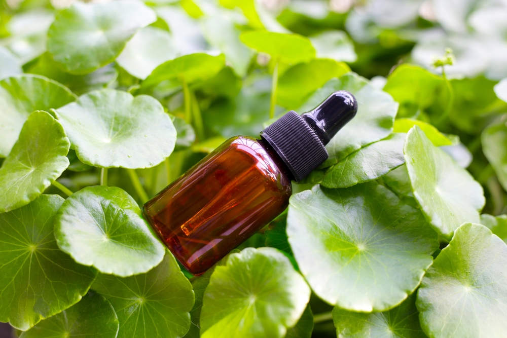 السنتيلا أسياتيكا (Centella Asiatica / Cica