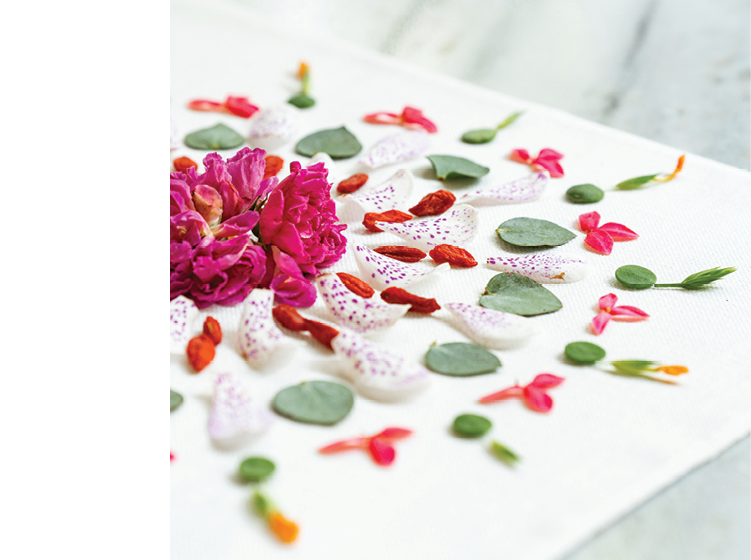 رحلتي إلى التناغم من قلب تايلاند RXV Wellness Village