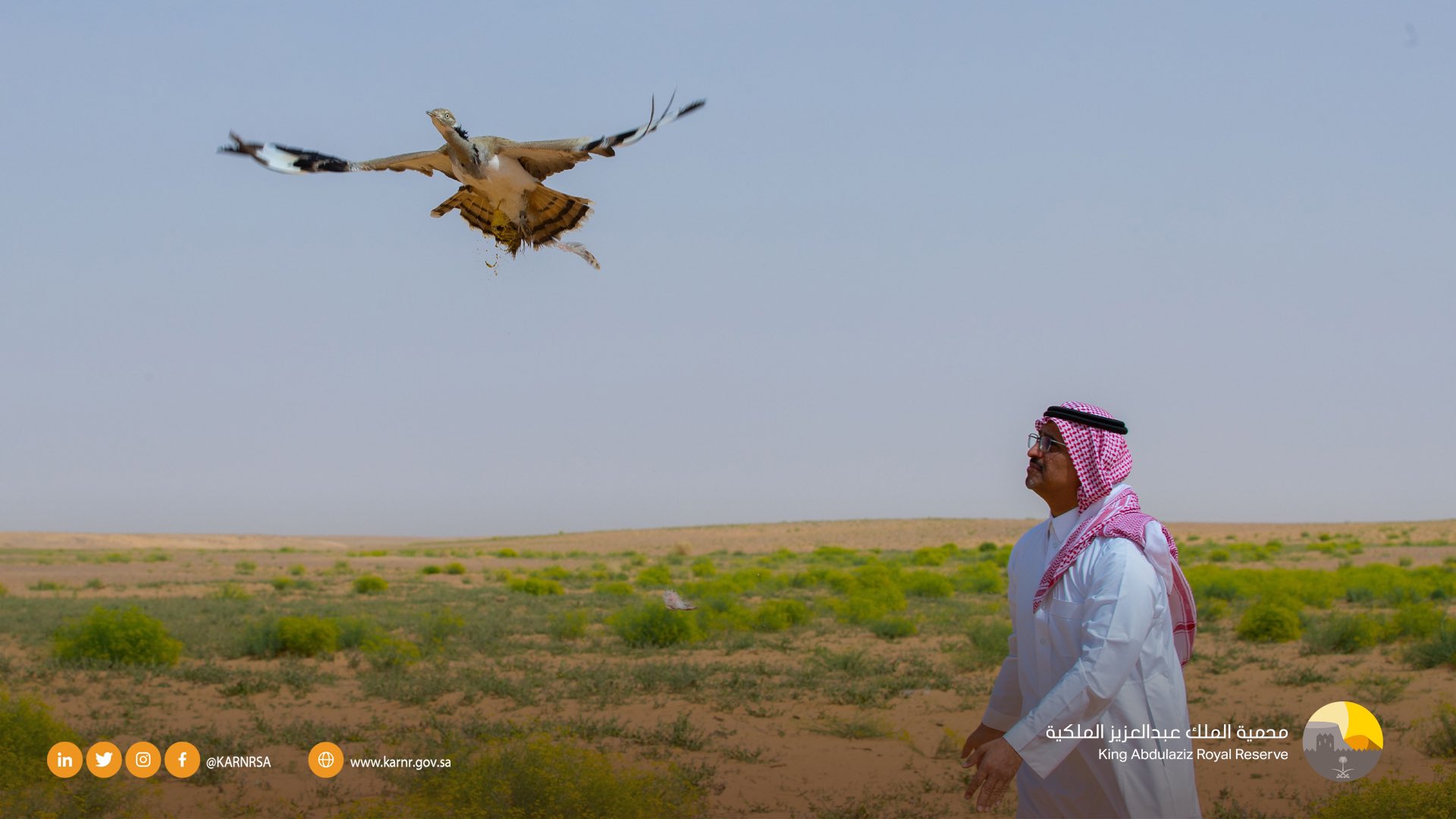 - المصدر محمية الملك عبدالعزيز الملكية