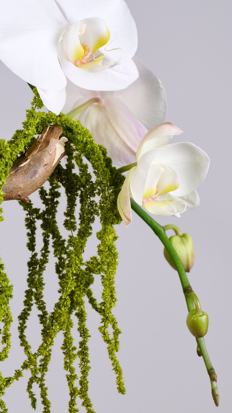 The Flower Society