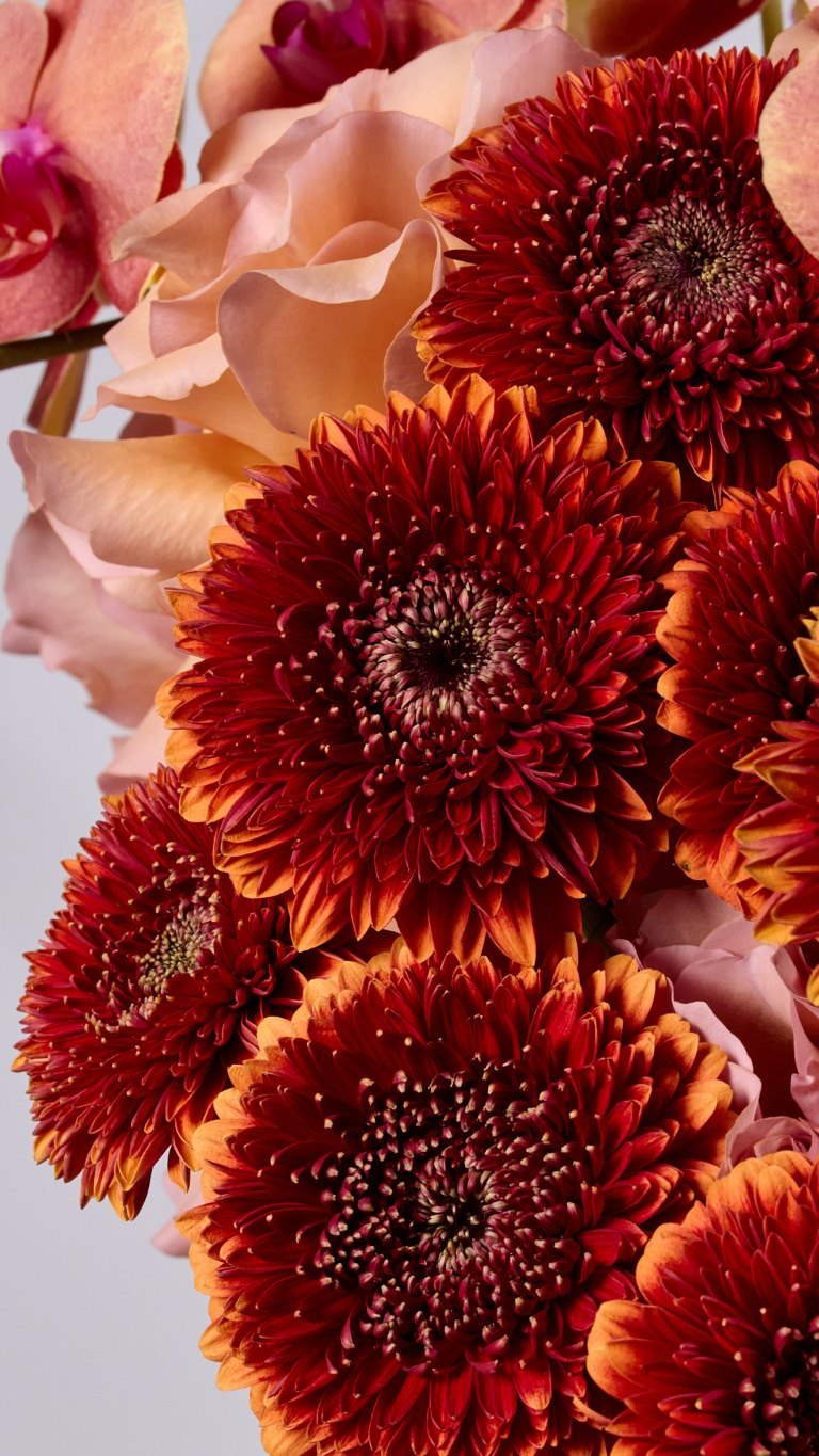 The Flower Society