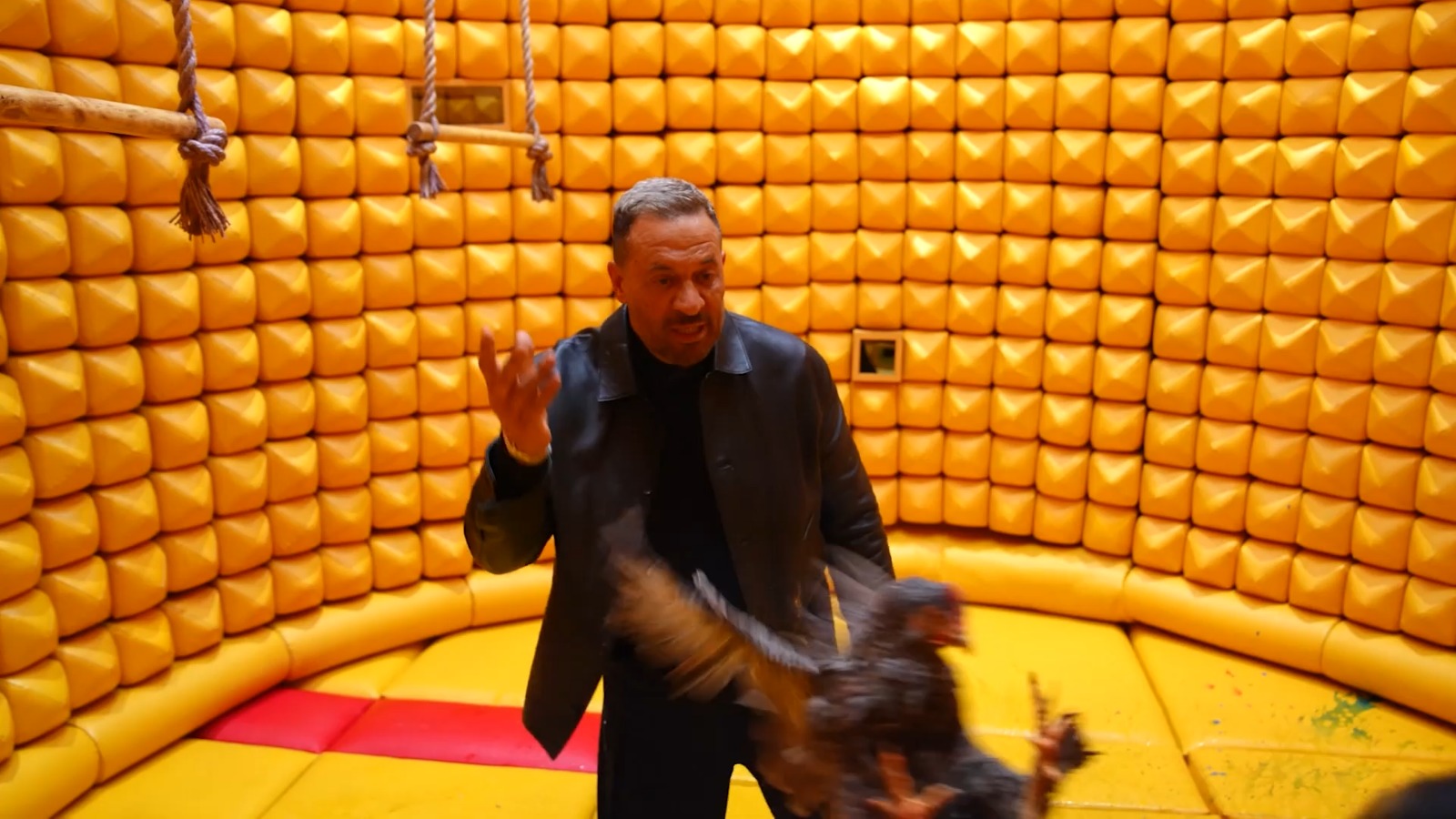 ماجد المصري