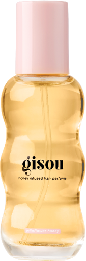  Gisou
