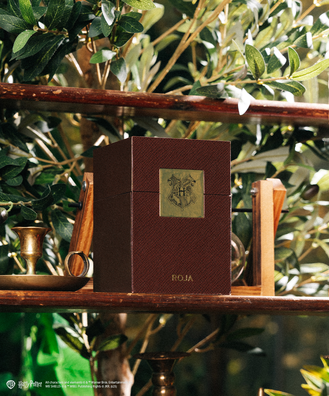 انطلاقًا من روح الفخامة البريطانية الأصيلة، تُطل "روجا لندن" بإصدارين محدودين مستوحَيَيْن من عالم هاري بوتر، بالتعاون مع وارنر براذرز ديسكفري جلوبال كونسيومر برودكتس.