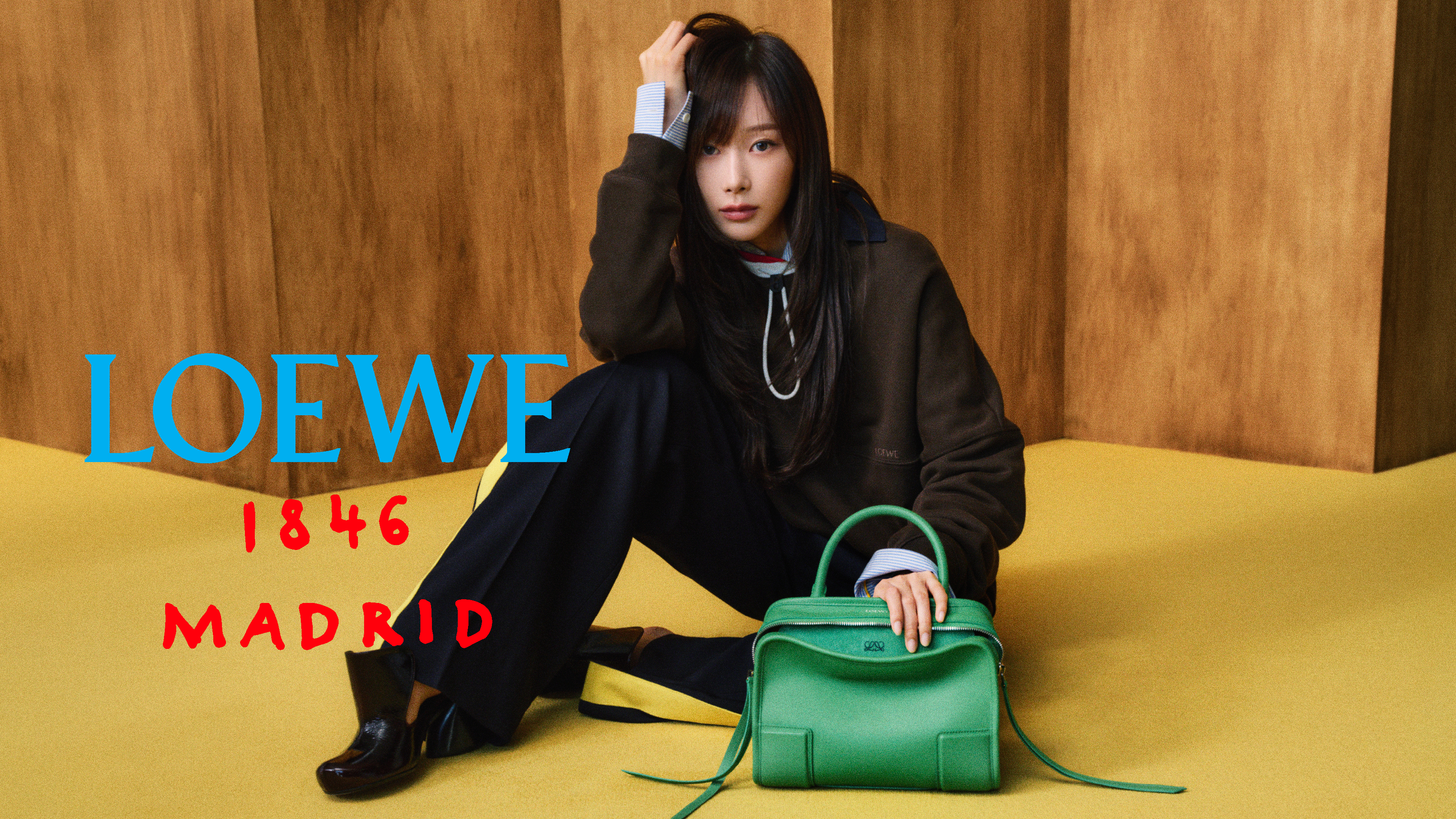 حقيبة Amazona من Loewe